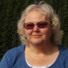Janis Powell, DTM Photo